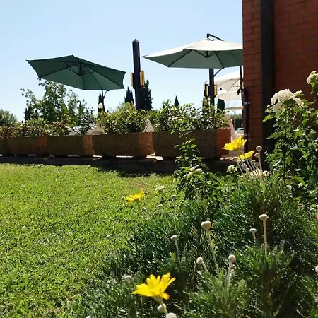 Hotel Meditur Pisa Migliarino Pisano